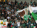 Rapid Wien - Mehr als ein Verein ! 36755596