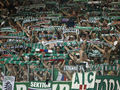 Rapid Wien - Mehr als ein Verein ! 36755613