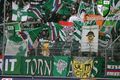 Rapid Wien - Mehr als ein Verein ! 36755785