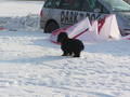 SNOWKITEN 01.-04.2006 6651078