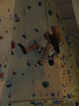 climbing 36557522