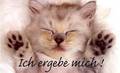 orfoch auschau und nochdenkn 8408993