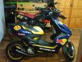 Red Bull 5653701