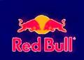 Red Bull 5653705