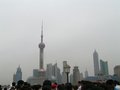 shanghai 10084326