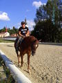 Reitstall / dominik in Aktion...=) 42634775