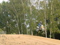 Motocross 2010  73941016