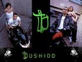 Bushido 19990484