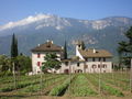 Südtirol 2008 41526397