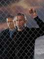 Prison break! 31152985