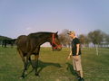 Reiten 09 57385695