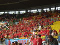 EURO 2008 Spanien-Italien 40031129