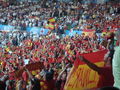 EURO 2008 Spanien-Italien 40031613