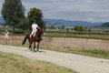 Trec EM Schweiz 2007 31134095