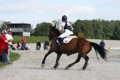 Trec EM Schweiz 2007 31134211