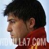 David Villa 74065114