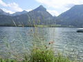 Wolfgangsee 09 63649762