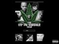 the Up in smoke tour 14726500