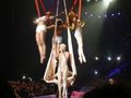 P!NK  25.03.2009 in Wien 56873176