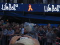 Lifeball '08 38427565