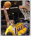 los angeles lakers 20297450