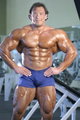 bodybuilder 24057789