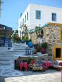 Griechenland Kos 18.06.-02.07.08 41157541