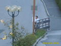 Zell am See 2008 44500489