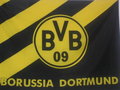 Borussia Dortmund 17244690