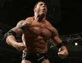 3-timesworldheavyweight champion batista 8922900