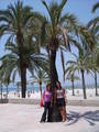 Mallorca 2006 7781736