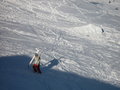 sKiIng in fLacHaU 13146302