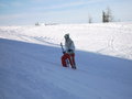 sKiIng in fLacHaU 13146378