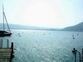 ->-> Attersee 2007 <-<- 20387721