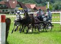 Turniersaison 2007 und mehr 33715393