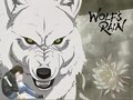 Wolfs Rain 18750852