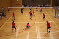 BS Bundesmeisterschaften Volleyball 41064918