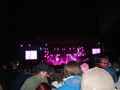 FESTIVALS * 2009 * 62180523