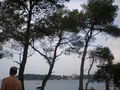 Rovinj, Hrvatska, 2009 65537627