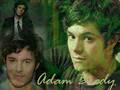 adam brody 6289133