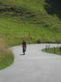 Kitzbühler horn Juni 07 ein Traum 24266533