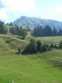 Kitzbühler horn Juni 07 ein Traum 24266586