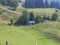 Kitzbühler horn Juni 07 ein Traum 24266618