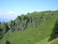 Kitzbühler horn Juni 07 ein Traum 24266952