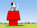 Snoopy 10511367