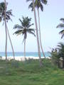 Sri Lanka 2006 8999211