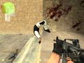 Counter Strike Source  53035073