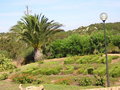 SARDINIEN 2004 11614873