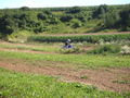 Motocross 2008 on tour Ungarn,Oö,Nö,.... 43674573