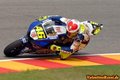 Valentino Rossi(the Doctor) 24126694